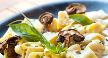 Restaurant Gasthof Hotel Grebe in Marburg